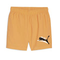 PUMA COSTUME 991