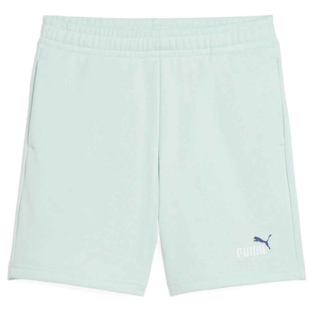 (J)BERM PUMA 826 ESS 2C. FT