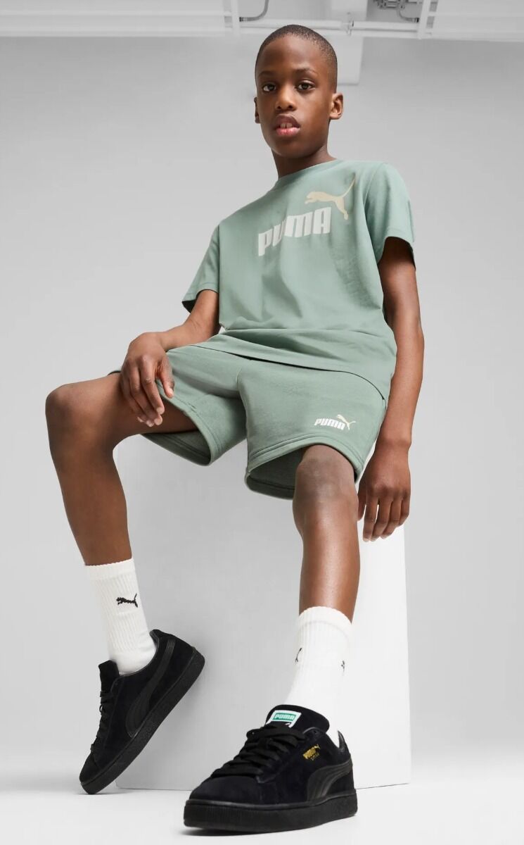 (J)BERM PUMA 826 ESS 2C. FT
