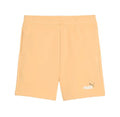 (J)BERM PUMA 826 ESS 2C. FT