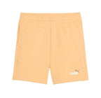 (J)BERM PUMA 826 ESS 2C. FT