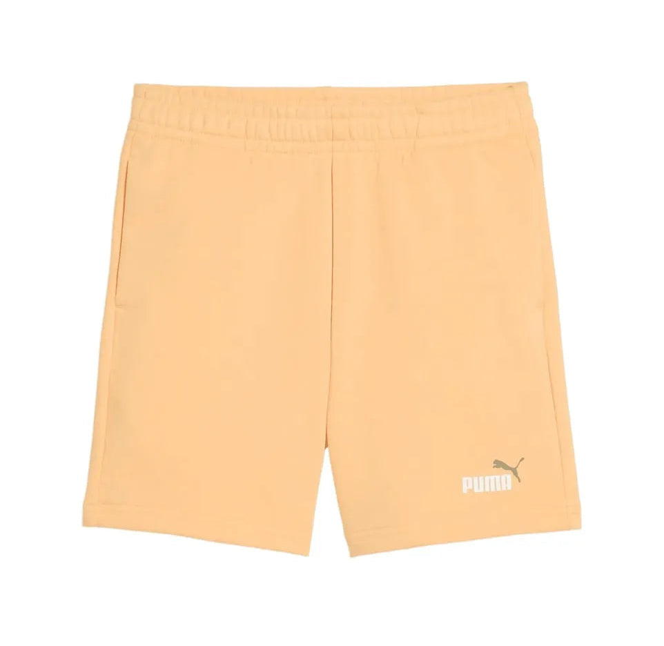 (J)BERM PUMA 826 ESS 2C. FT