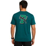 VERDE-41
