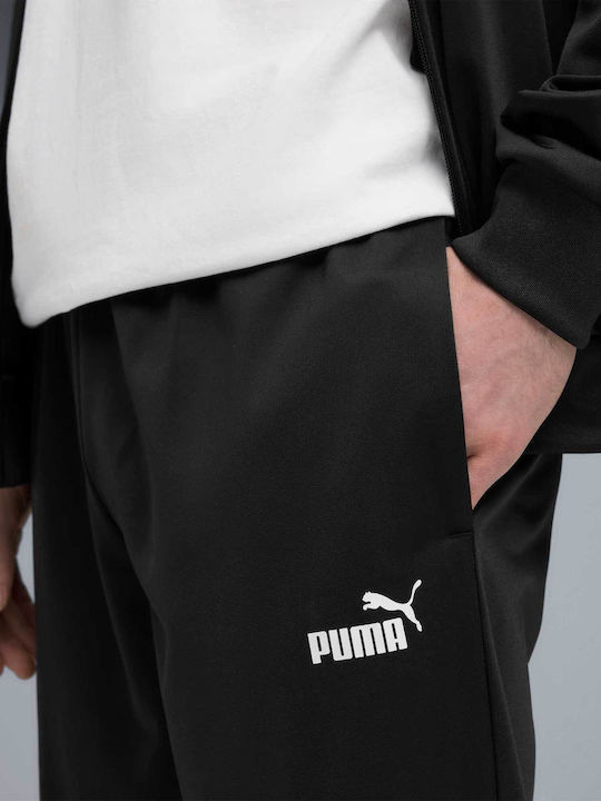 TUTA PUMA ACETATA