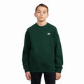 FELPA NEW BALANCE