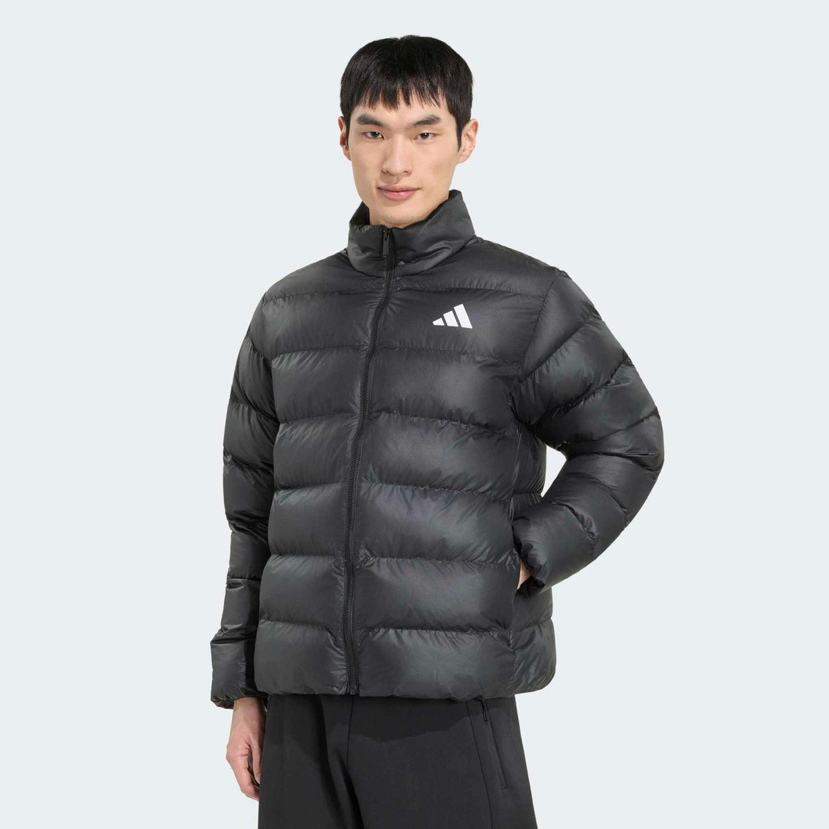GIUBBINO ADIDAS