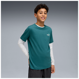VERDE-41
