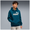 FELPA PUMA BIG LOGO