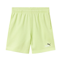 (J)BERM PUMA 826 ESS 2C. FT