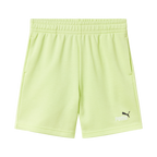 (J)BERM PUMA 826 ESS 2C. FT