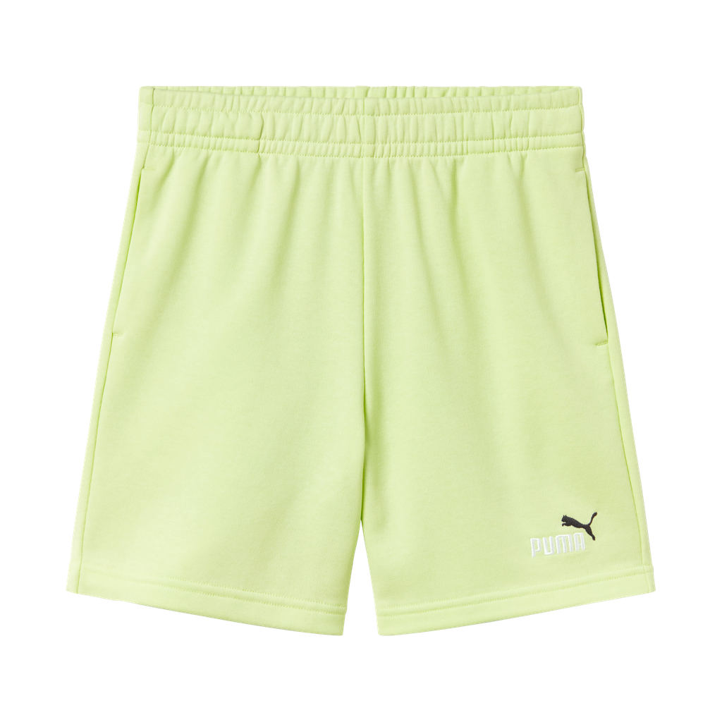 (J)BERM PUMA 826 ESS 2C. FT